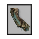 California Exaggerated Relief Map